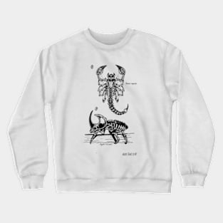 Insect Skeletons Crewneck Sweatshirt